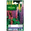 VILMORIN Lupin de Russel varié