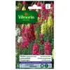 VILMORIN Muflier Grand Loup varié