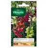 VILMORIN Muflier Goupil varié