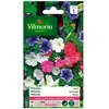 VILMORIN Petunia varié