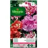 VILMORIN Godetia double a fleur d’azalée varié