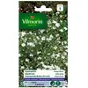 Graines - Vilmorin - Gypsophile Nuage Blanc