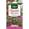 VILMORIN Pâquerette Tapis varié