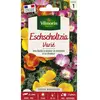 VILMORIN Eschscholtzia de Californie varié