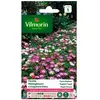 VILMORIN Ficoïde Tapis magique