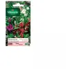 VILMORIN Balsamine Camelia double variée