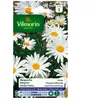 VILMORIN Chrysanthème grande marguerite Margo des près
