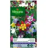 VILMORIN Ancolie étoile variée