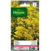 VILMORIN Alysse Corbeille d’Or