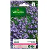 VILMORIN Aubrietia Roi des bleus
