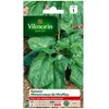 VILMORIN Epinard monstrueux de Viroflay