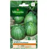 VILMORIN Courgette de Nice à fruit rond