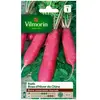VILMORIN Radis rose d'hiver de Chine