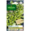 VILMORIN Pourpier doré à large feuille