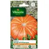 VILMORIN Sachet graines de Potiron vif d'Etampes