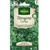 VILMORIN Tetragone cornue