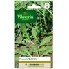 VILMORIN Roquette cultivée
