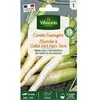 VILMORIN Carotte Fourragère blanche a collet vert hors terre