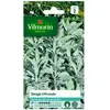 Graine - Vilmorin - Sauge Officinale