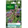 Graine - Vilmorin - Bourrache Officinale
