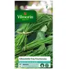 VILMORIN Sachet graines de Ciboulette danoise très fine