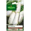 VILMORIN Navet Marteau