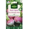 VILMORIN Navet rave d'Auvergne hâtif