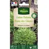 VILMORIN Laitue Batavia Reine des Glaces frisée de Beauregard