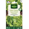 VILMORIN Laitue Pommee Grosse blonde paresseuse