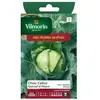 VILMORIN Chou Cabus Quintal d'Alsace