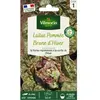 Sachet graines Laitue Brune dhiver-