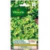VILMORIN Laitue à couper feuille de Chêne blonde graines noires