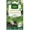 VILMORIN Chicorée scarole cornet de Bordeaux