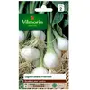 VILMORIN Oignon blanc premier