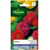 VILMORIN Zinnia a fleur monstrueuse varie