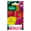 VILMORIN Zinnia Géant de Californie varie