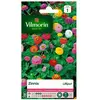 VILMORIN Zinnia Lilliput varie