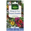 Graines - Vilmorin - Bouquets Champêtres - 4 m² - Mélange de fleurs