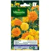 VILMORIN Rose d’Inde double grande variée