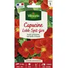 VILMORIN Capucine de lobb spit fire rouge