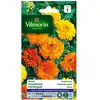 VILMORIN Souci double varie
