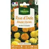 VILMORIN Rose d’Inde naine variée
