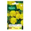 VILMORIN Oeillet d'Inde Globe citron