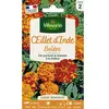 VILMORIN Sachet graines de fleurs  illet d'Inde BOLERO
