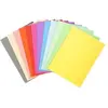 100 Chemises A4 - Exacompta Forever Foldyne - 220 gr - Couleurs assort...
