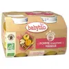 Babybio Fruits Pot Mangue Pomme +4m Bio 2 x 130g