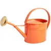 Guillouard Arrosoir en acier galvanisé avec pomme 1.75 litres