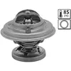 Valeo 819970 Thermostat d'eau