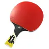 CORNILLEAU Raquette Tennis de Table Ping Pong Bois Perform 600