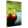 Editions Montparnasse Minuscule : La vie privée des insectes Saison 2 Volume 3 DVD